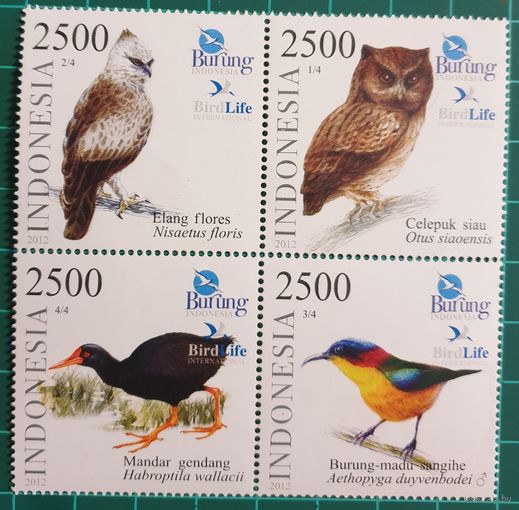 2012    Исчезающий  вид птиц   Индонезии