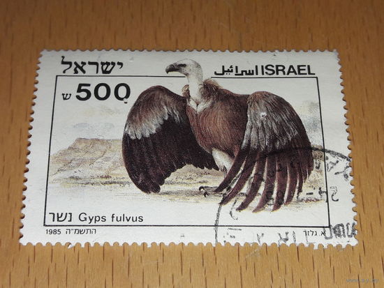 Израиль 1985 Фауна. Библейские птицы. Белоголовый сип