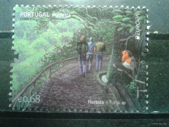 Мадейра, Португалия, 2011. Европа. Лес