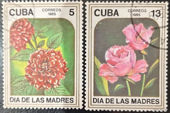 Куба 1985. Флора. Цветы