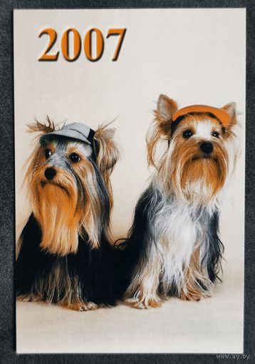 Календарик Собаки 2007