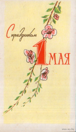 Чистая мини-открытка 1964 г. "1 Мая. Цветущая ветка" худ. Н. Пономарев
