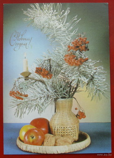 С новым годом! Чистая. 1990 года. Фото Киндровой. *4.