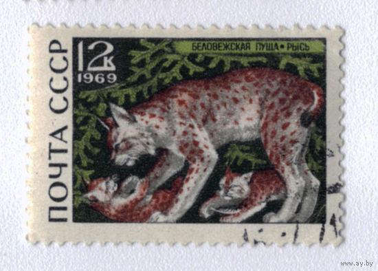 Марка СССР 1969 Рысь