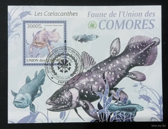 ФАУНА РЫБЫ МОРСКИЕ ОБИТАТЕЛИ    БЛОК  сто