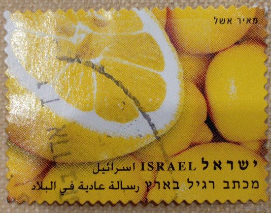 Израиль. Флора. Апельсины