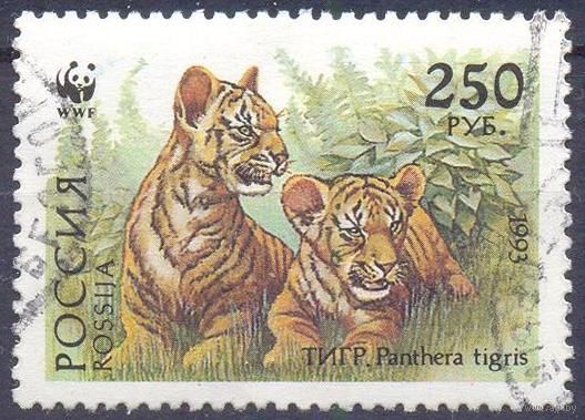 Россия 1993 WWF тигр фауна