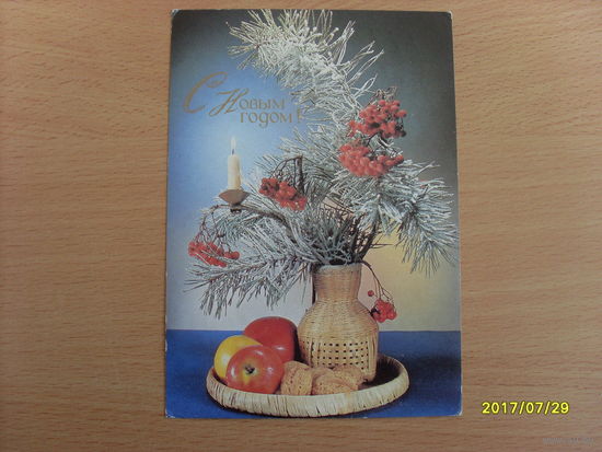 Открытка С Новым годом. Фото Киндровой  1989 год