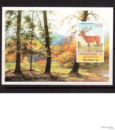 Беларусь-1995(Мих.Бл.5) ** , Фауна, Олень   MNH