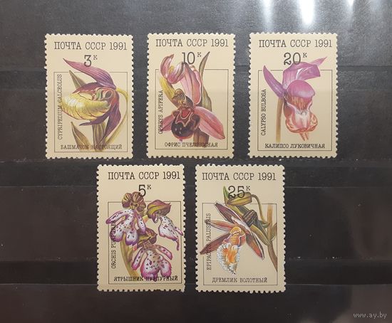 СССР. 1991 год. Флора. Цветы. Орхидеи (210)