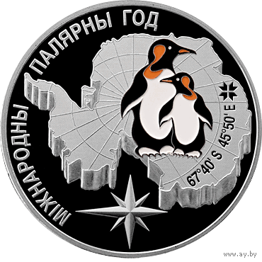 Полярный год