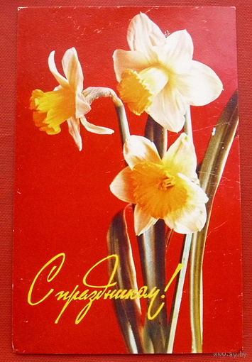 С Праздником! Чистая. 1977 года. Костенко. 912.