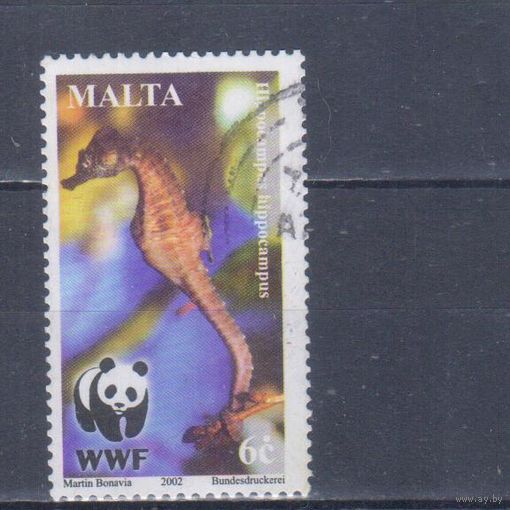 [1064] Мальта 2002. Морская фауна.Морской конек. Гашеная марка. 2