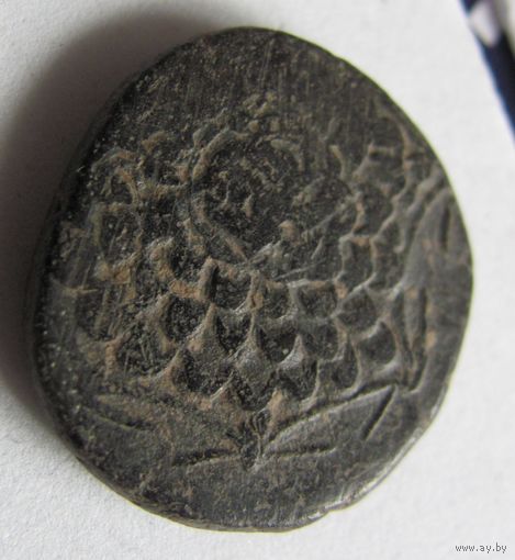 Тетрахалк Синопа