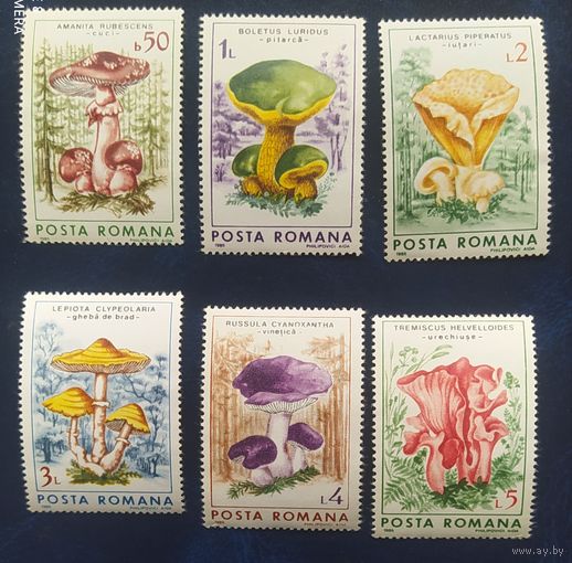 Румыния 1986 Грибы, полная