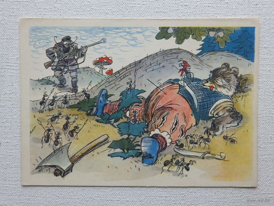 Тиханович 1959   10х15 см  открытка БССР