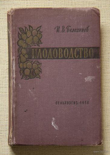 И. В. Белохонов. Плодоводство