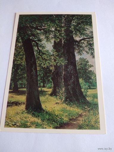Открытка. И. Шишкин. Дубы.