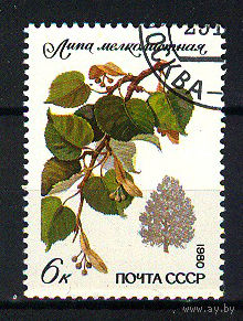 1980 СССР. Липа