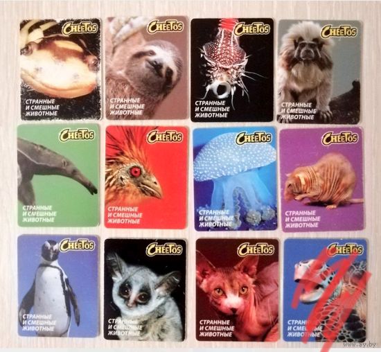 Карточки "Cheetos". "Читос". "Странные и смешные животные". Цена за 1шт.