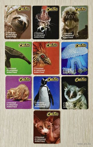 Карточки "Cheetos". "Читос". "Странные и смешные животные". Цена за 1шт.