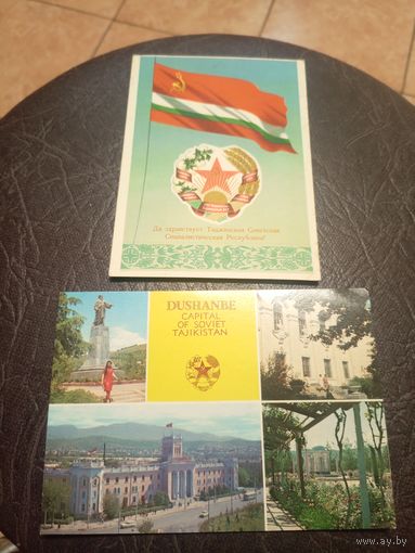 Герб и флаг ТССР.