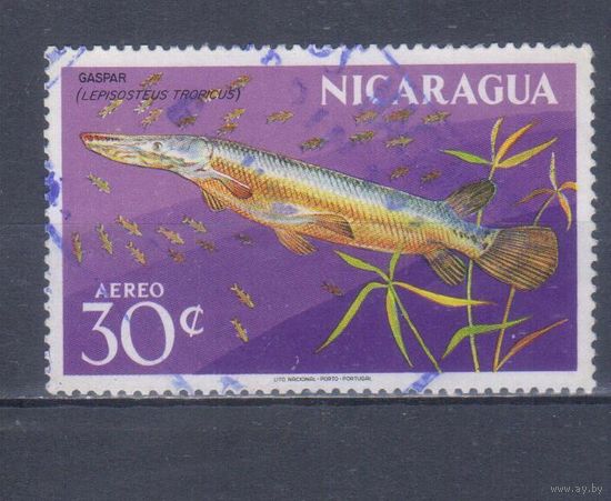 [351] Никарагуа 1969. Фауна.Рыба.30 с. Гашеная марка.
