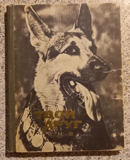 Твой друг.1973г.