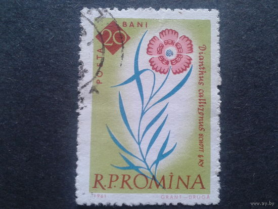 Румыния 1961 цветы