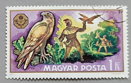 Венгрия, 1971. Мир охоты ( из серии)