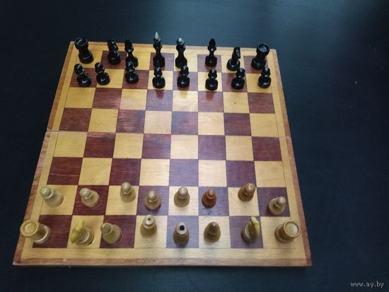Шахматы