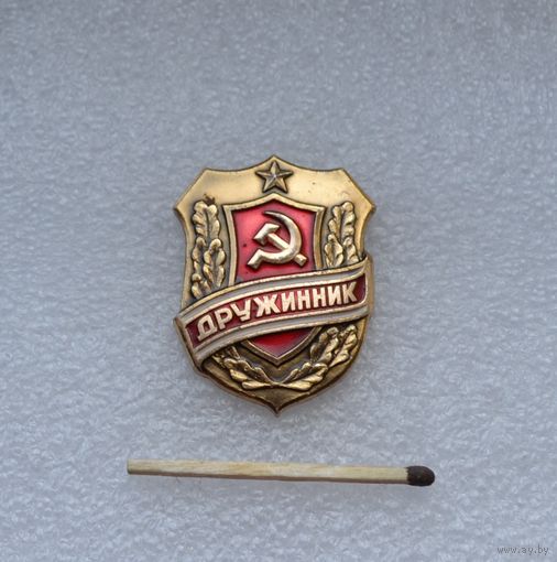 Дружинник.