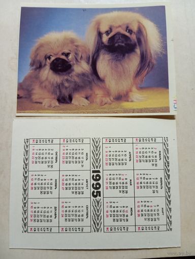 Карманный календарик. Собаки. 1995 год