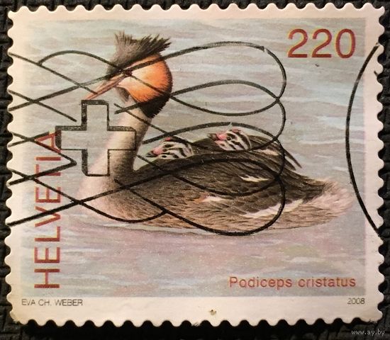 ЦІКАВІЦЬ АБМЕН! 2008, Коўра вялікая (220)