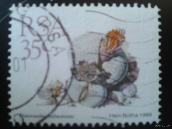 ЮАР 1988 стандарт, камнеломка