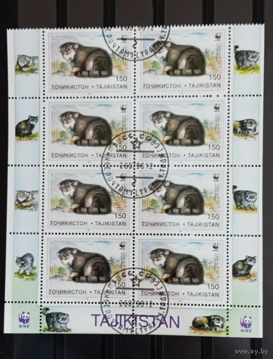 Таджикистан 1996  Фауна. Дикие кошки. Манул