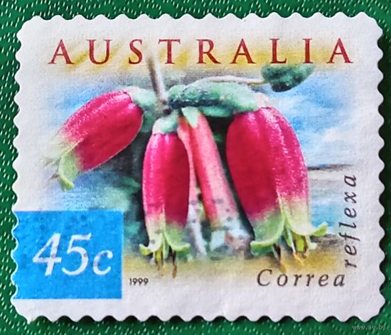 Австралия 1999. Цветок лесная фуксия