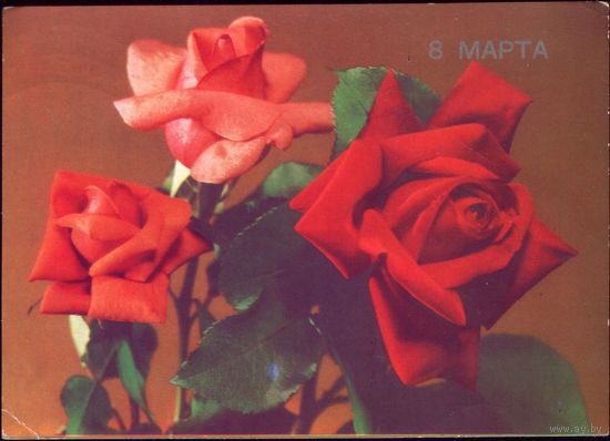 1989 год Б.Круцко 8 марта