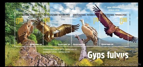 2016 Босния и Герцеговина (серб.) 687-690 Фауна. Птицы. Белоголовые сипы **