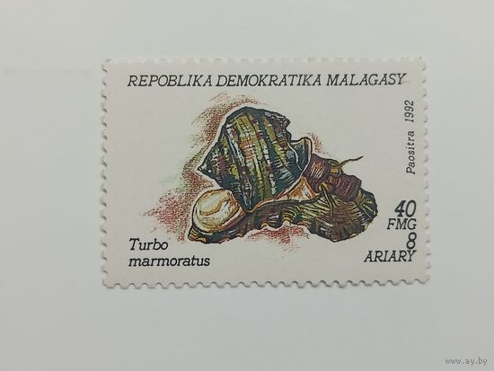 Мадагаскар 1993. Моллюски