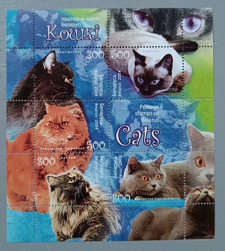 Коты. Кошки Фауна Беларусь, 2004. Лист **