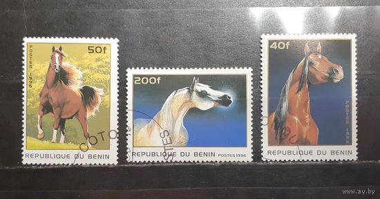 Бенин. 1996 год. Фауна. Лошади (1215)