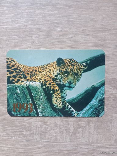 Календарик 1993