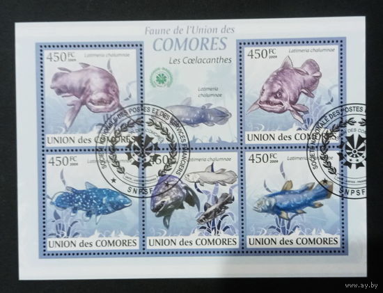 ФАУНА РЫБЫ МОРСКИЕ ОБИТАТЕЛИ    БЛОК  сто