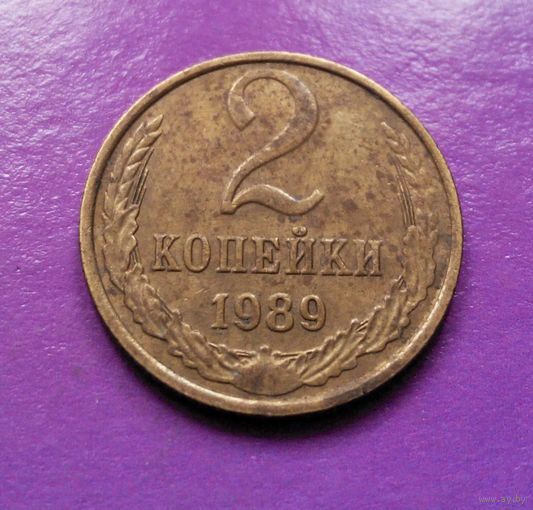 2 копейки 1989 СССР #08