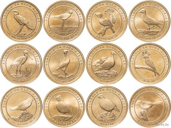 Турция 1 куруш 2021 НАБОР 12 монеты Анатолийские птицы UNC