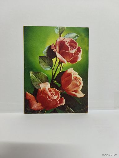 Двойная почтовая открытка для телеграмм, б/у. 1986г. Серия Е-52. Фото Г. Костенко. 14