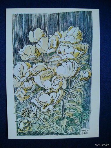 Митрохин Д. И., Купавы, 1971.