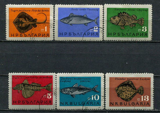 Болгария - 1965 - Рыбки - [Mi. 1542-1547] - полная серия - 6 марок. Гашеные.  (LOT Gh4)-T3P5