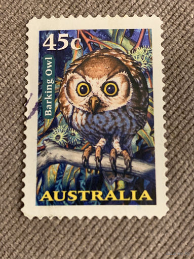 Австралия. Сова. Braking Owl